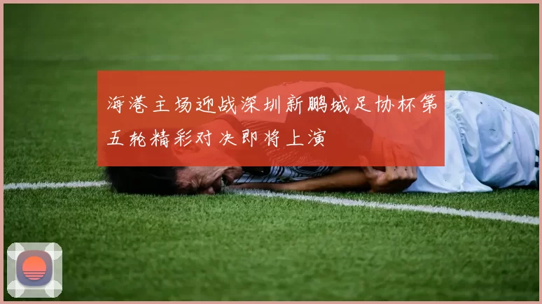 海港主场迎战深圳新鹏城足协杯第五轮精彩对决即将上演